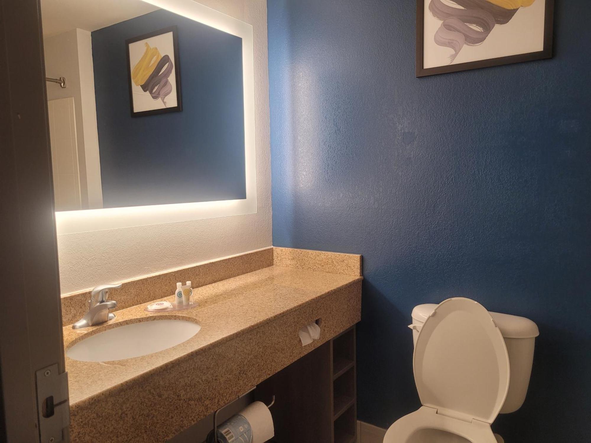 Comfort Inn & Suites Dothan Luaran gambar